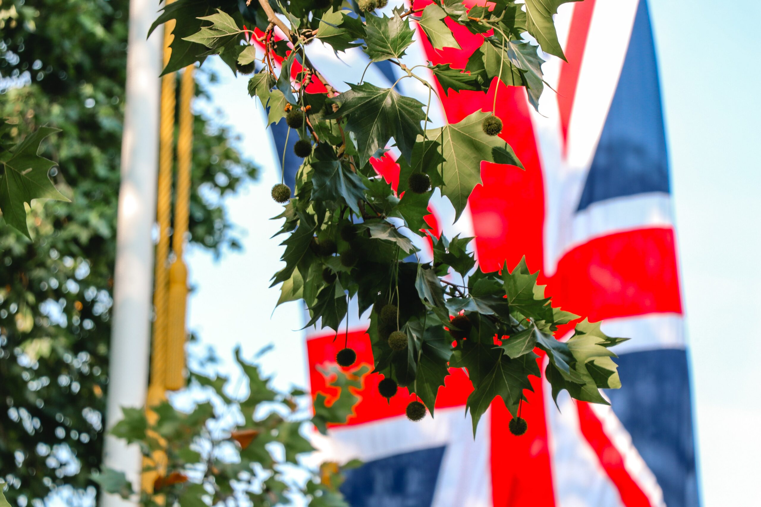 Le Royaume-Uni est l’un des plus importants marchés pour la musique dans le monde. Quelles conséquences suite au Brexit ? Le CNM met à disposition des fiches pratiques pour développer son projet musical au Royaume-Uni.