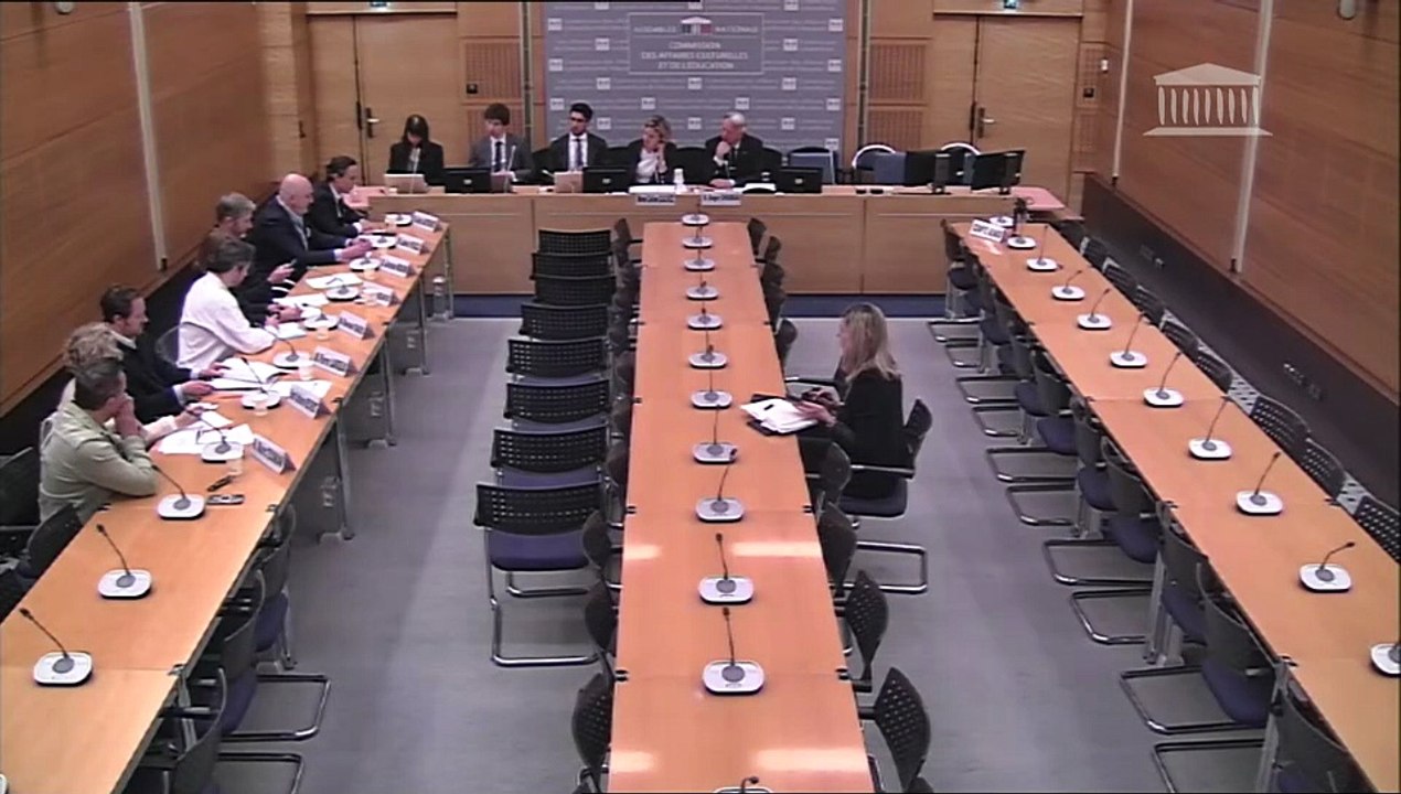 IA : Audition des organisations de l'édition phonographique et musicale