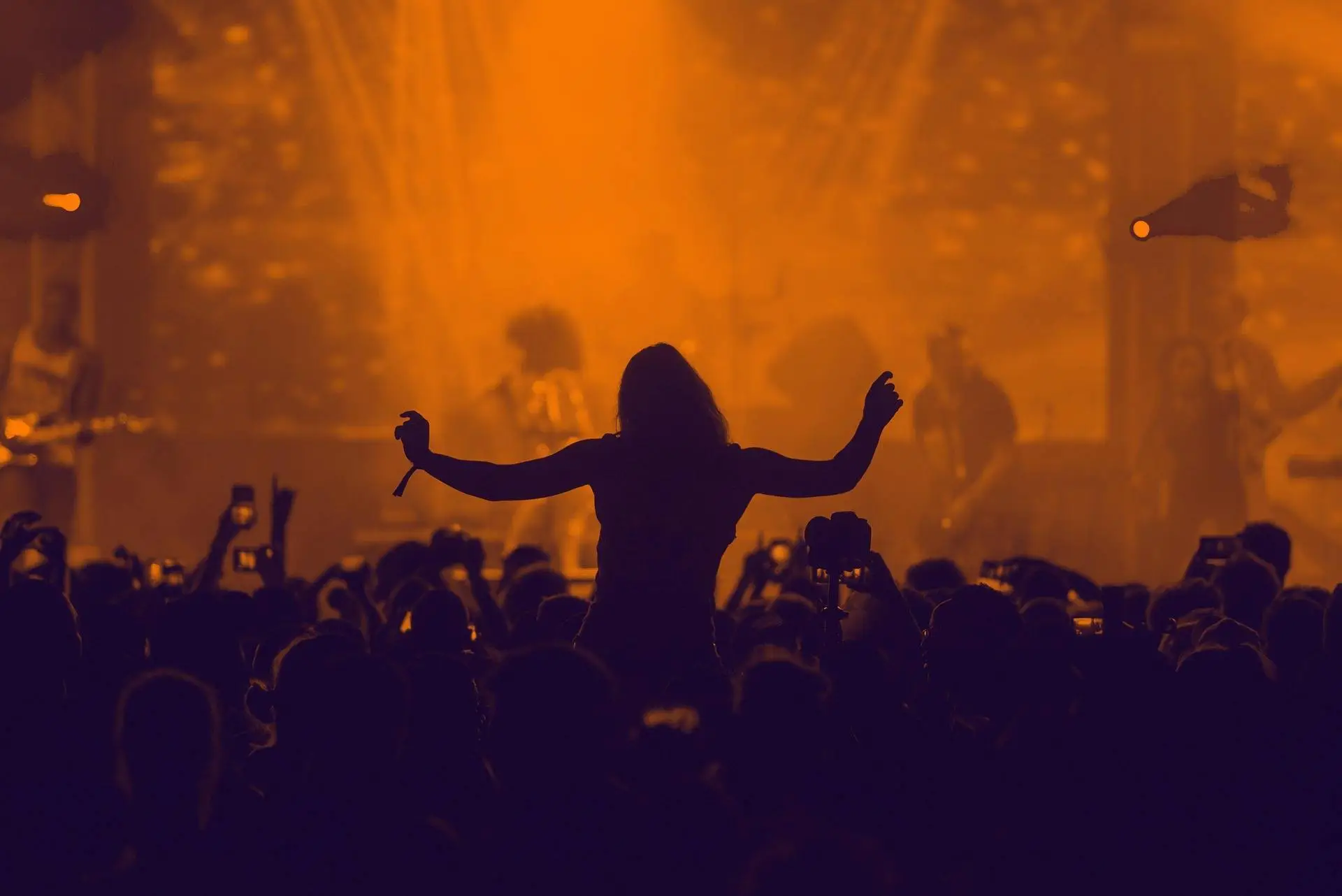 Bilan 2024 du soutien aux festivals dans le champ de la création